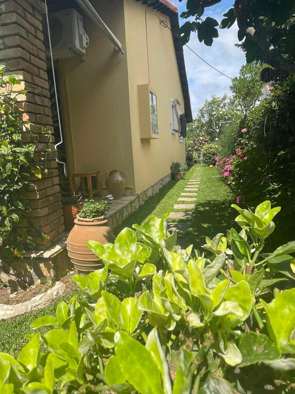 Villa Tina Country Beach Apartments Acharavi  Kamer foto