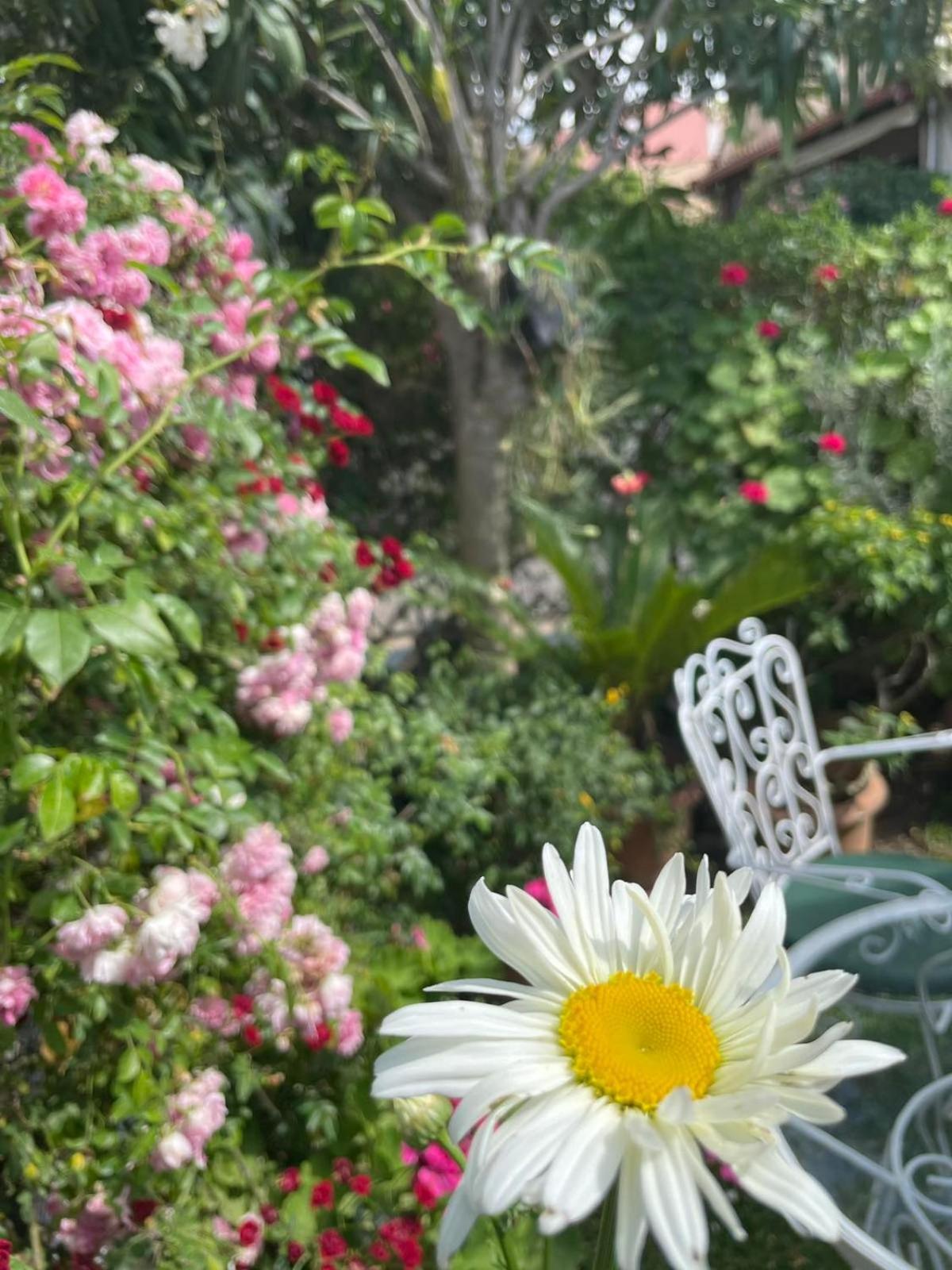 Villa Tina Country Beach Apartments Acharavi  Kamer foto