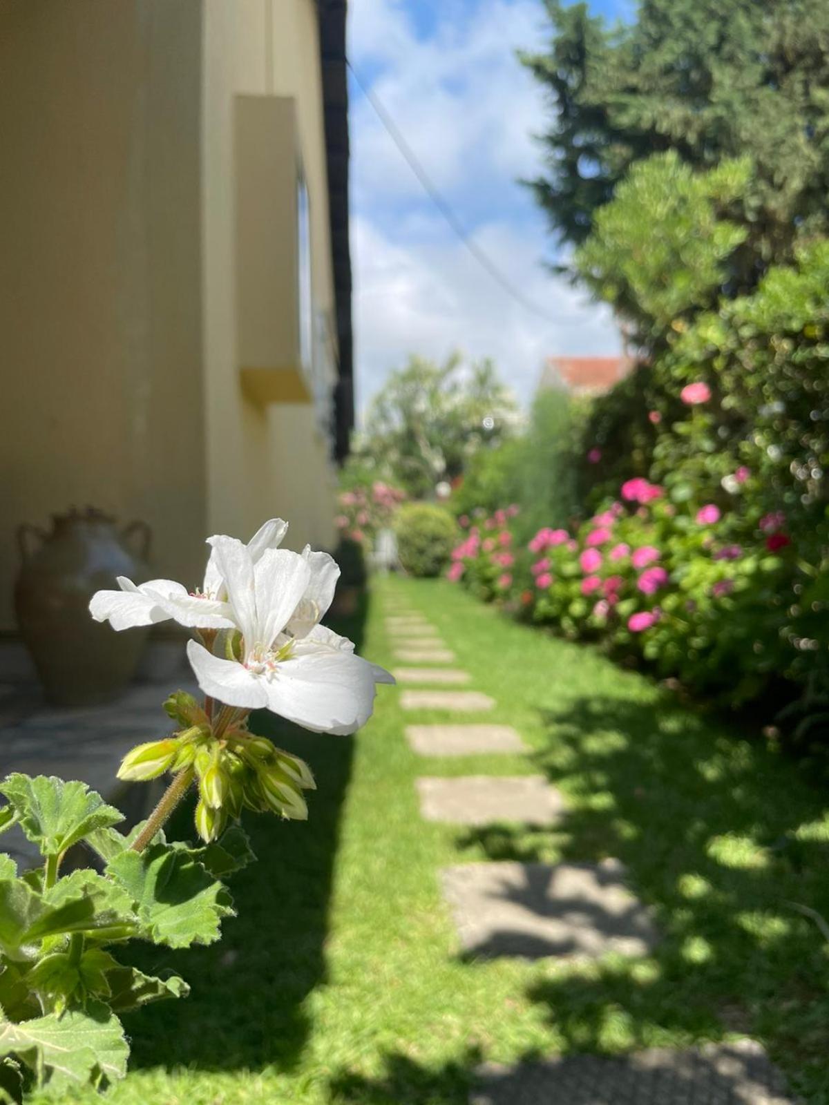 Villa Tina Country Beach Apartments Acharavi  Kamer foto