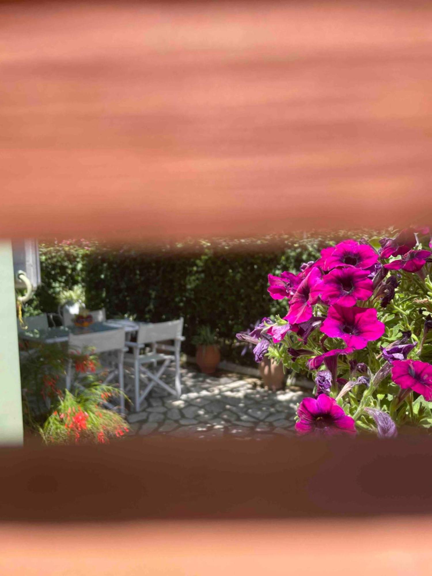 Villa Tina Country Beach Apartments Acharavi  Kamer foto